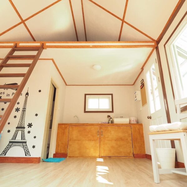 แพวินเทล1_2